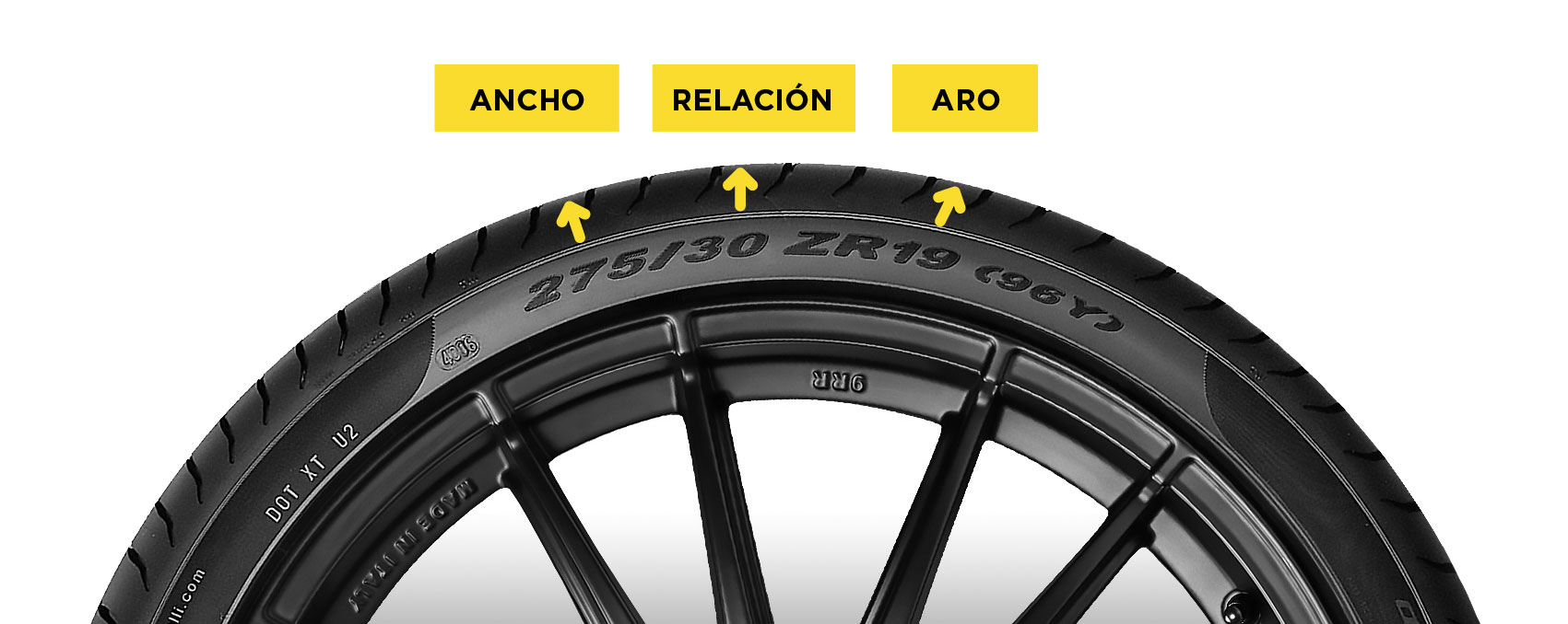 buscador2024-01