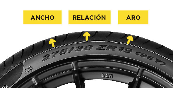 buscador2024-03